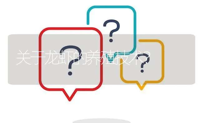 关于龙虾的养殖技术? | 养殖问题解答