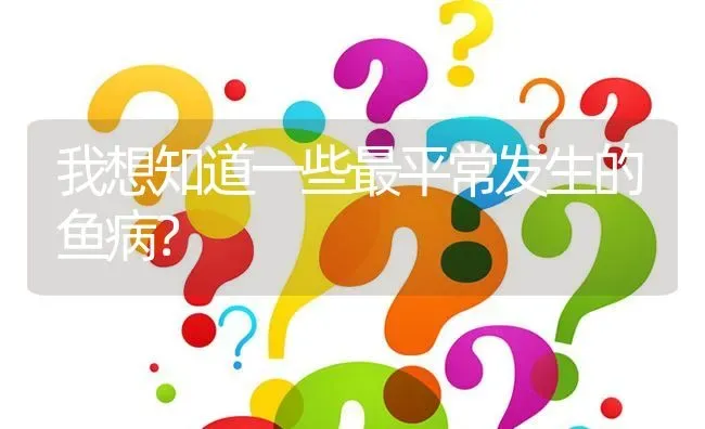 我想知道一些最平常发生的鱼病? | 养殖问题解答