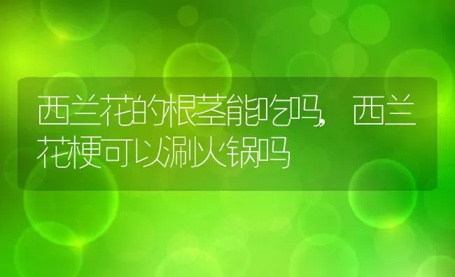 西兰花的根茎能吃吗,西兰花梗可以涮火锅吗 | 养殖常见问题