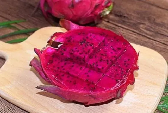 植物常识问题|火龙果是热性还是凉性