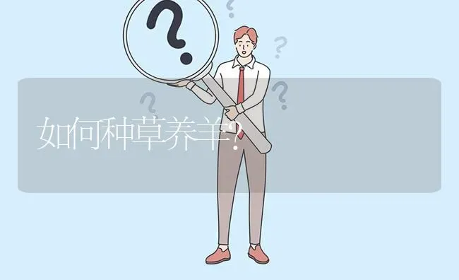 如何种草养羊? | 养殖问题解答