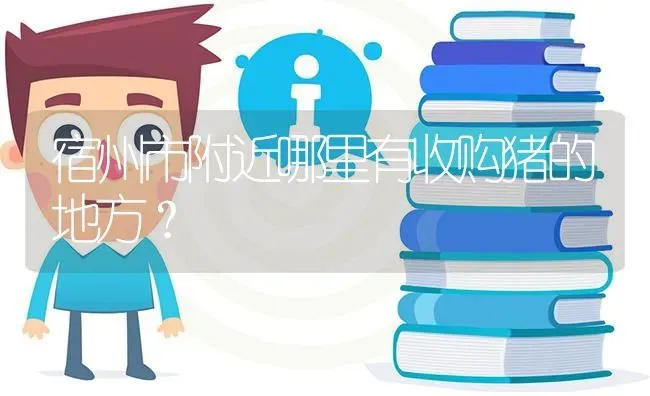 宿州市附近哪里有收购猪的地方? | 养殖问题解答