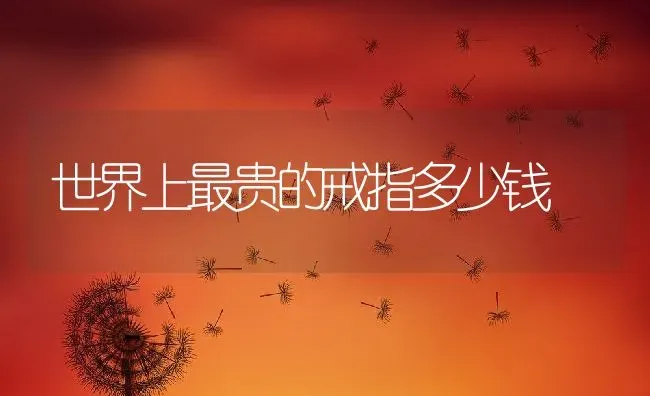 世界上最贵的戒指多少钱 | 养殖常见问题