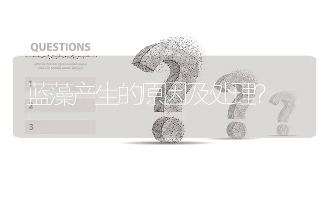 蓝藻产生的原因及处理? | 养殖问题解答
