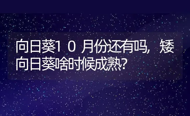 向日葵10月份还有吗,矮向日葵啥时候成熟？ | 养殖常见问题