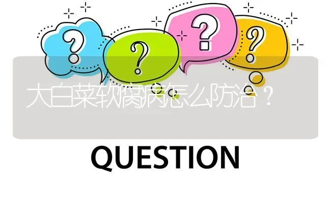 大白菜软腐病怎么防治? | 养殖问题解答