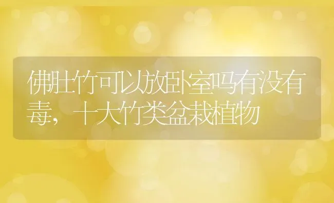 佛肚竹可以放卧室吗有没有毒,十大竹类盆栽植物 | 养殖常见问题