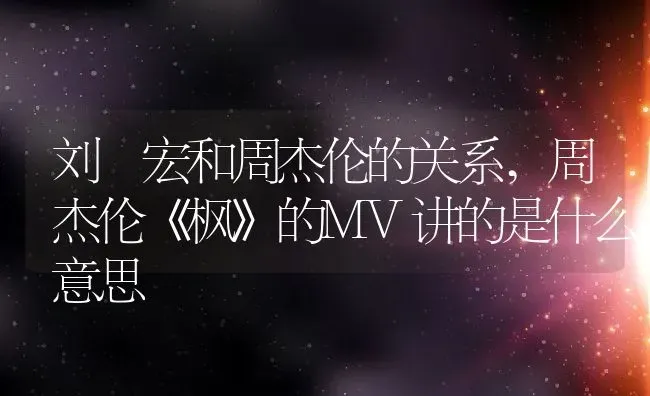 刘畊宏和周杰伦的关系,周杰伦《枫》的MV讲的是什么意思 | 养殖常见问题