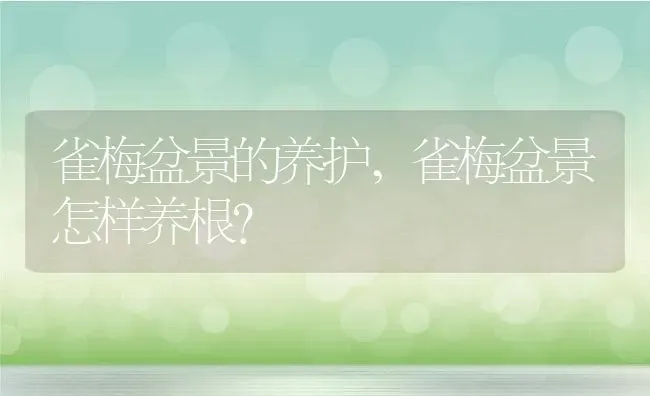 雀梅盆景的养护,雀梅盆景怎样养根？ | 养殖常见问题