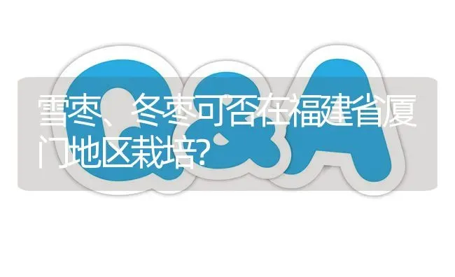 雪枣、冬枣可否在福建省厦门地区栽培? | 养殖问题解答