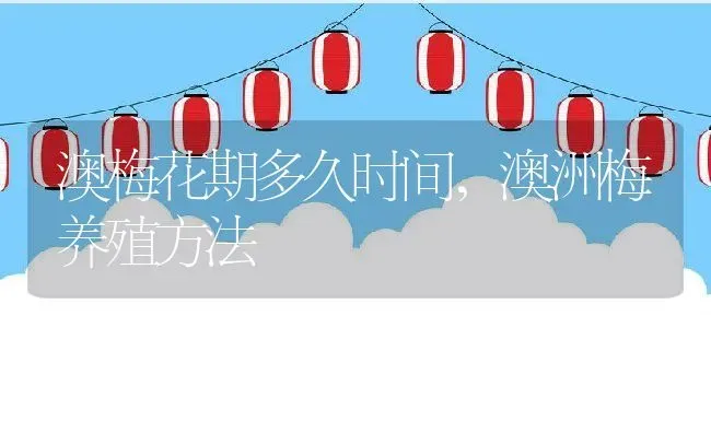 澳梅花期多久时间,澳洲梅养殖方法 | 养殖常见问题