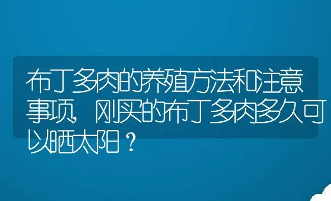 布丁多肉的养殖方法和注意事项,刚买的布丁多肉多久可以晒太阳？ | 养殖常见问题