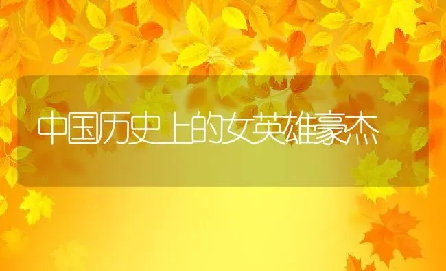 中国历史上的女英雄豪杰 | 养殖常见问题