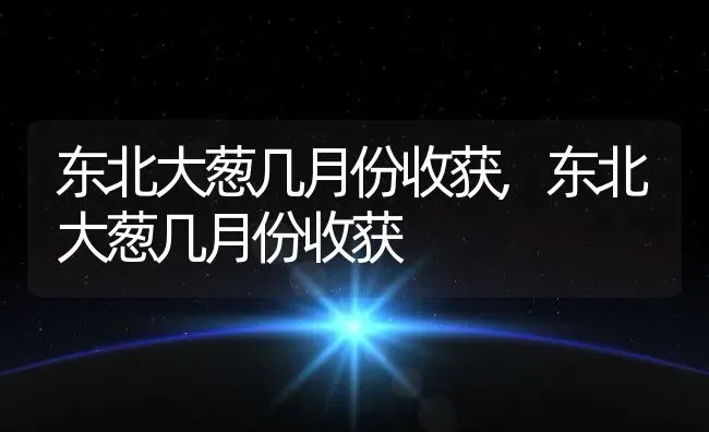 东北大葱几月份收获,东北大葱几月份收获 | 养殖常见问题