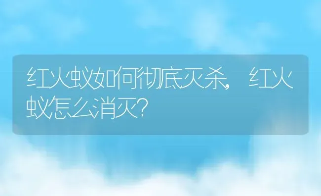 红火蚁如何彻底灭杀,红火蚁怎么消灭？ | 养殖常见问题