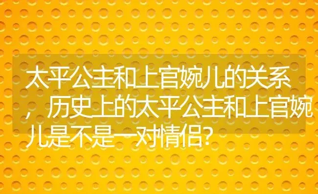 太平公主和上官婉儿的关系,历史上的太平公主和上官婉儿是不是一对情侣？ | 养殖常见问题