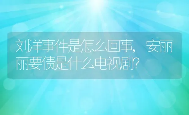 刘洋事件是怎么回事,安丽丽要债是什么电视剧？ | 养殖常见问题