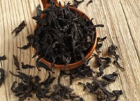 植物常识问题|大红袍属于什么茶  喝大红袍茶功效作用与好处