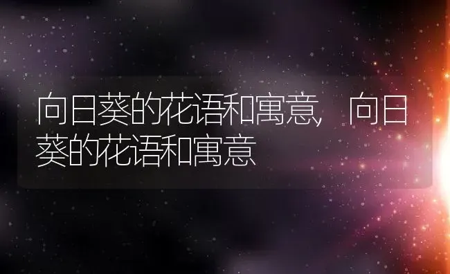 向日葵的花语和寓意,向日葵的花语和寓意 | 养殖常见问题