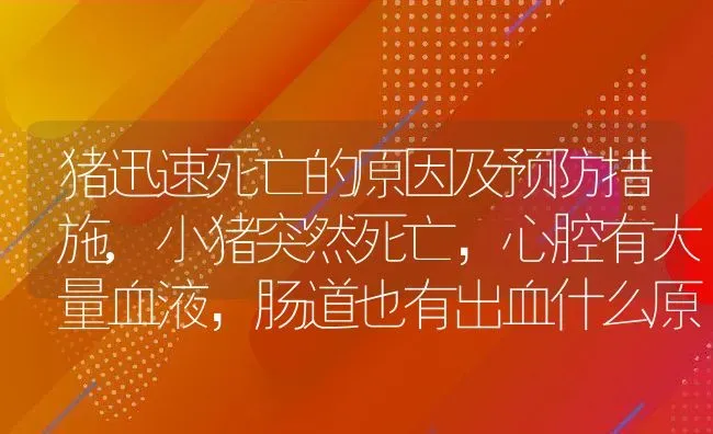 猪迅速死亡的原因及预防措施,小猪突然死亡，心腔有大量血液，肠道也有出血什么原因 | 养殖常见问题