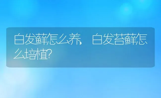 白发藓怎么养,白发苔藓怎么培植？ | 养殖常见问题