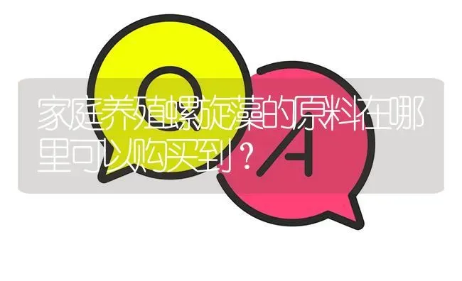 家庭养殖螺旋藻的原料在哪里可以购买到? | 养殖问题解答