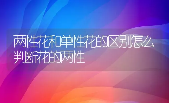 两性花和单性花的区别怎么判断花的两性 | 养殖常见问题