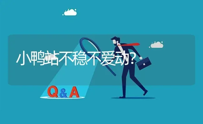 小鸭站不稳不爱动? | 养殖问题解答