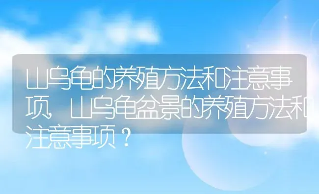 山乌龟的养殖方法和注意事项,山乌龟盆景的养殖方法和注意事项？ | 养殖常见问题