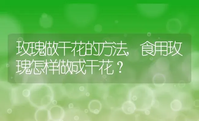 玫瑰做干花的方法,食用玫瑰怎样做成干花？ | 养殖常见问题