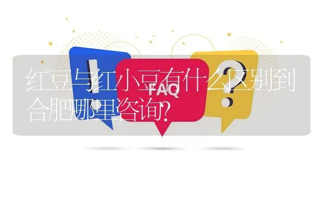 红豆与红小豆有什么区别到合肥哪里咨询? | 养殖问题解答