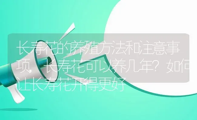 长寿花的养殖方法和注意事项,长寿花可以养几年？如何让长寿花开得更好 | 养殖常见问题
