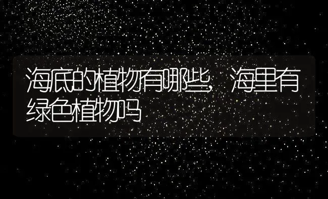 海底的植物有哪些,海里有绿色植物吗 | 养殖常见问题