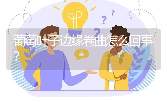 葡萄叶子边缘卷曲怎么回事? | 养殖问题解答