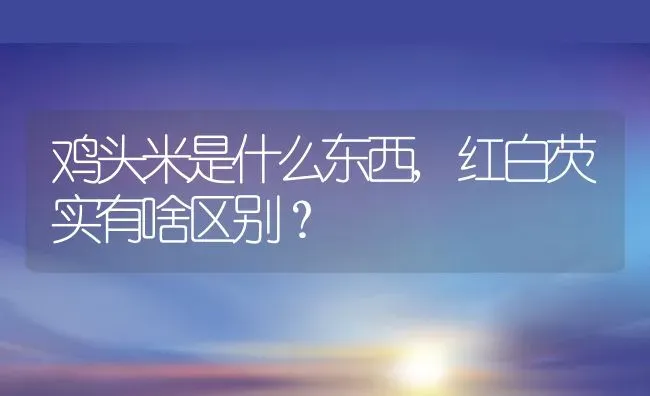 鸡头米是什么东西,红白芡实有啥区别？ | 养殖常见问题