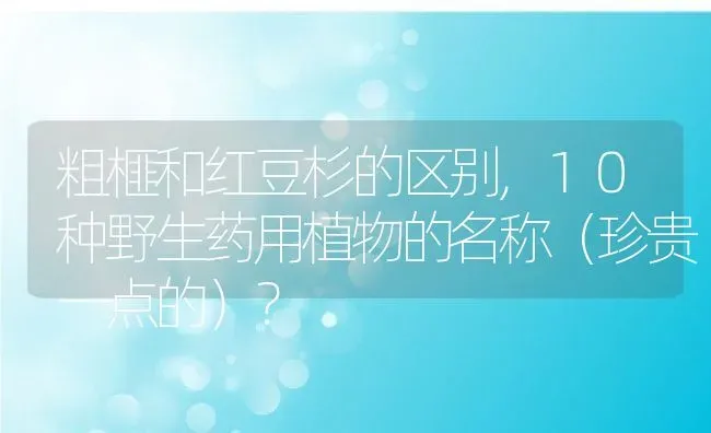 粗榧和红豆杉的区别,10种野生药用植物的名称（珍贵一点的）？ | 养殖常见问题