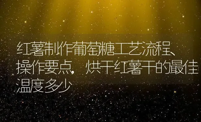 红薯制作葡萄糖工艺流程、操作要点,烘干红薯干的最佳温度多少 | 养殖常见问题