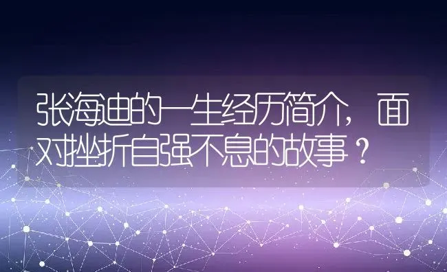 张海迪的一生经历简介,面对挫折自强不息的故事？ | 养殖常见问题