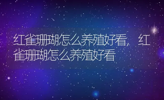 夏黑葡萄什么时候成熟,夏黑葡萄什么时候催熟？ | 养殖常见问题