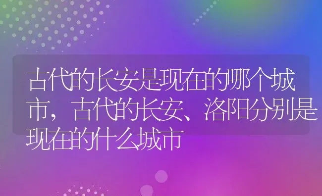 古代的长安是现在的哪个城市,古代的长安、洛阳分别是现在的什么城市 | 养殖常见问题