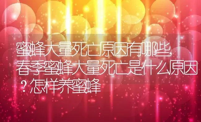 蜜蜂大量死亡原因有哪些,春季蜜蜂大量死亡是什么原因？怎样养蜜蜂 | 养殖常见问题