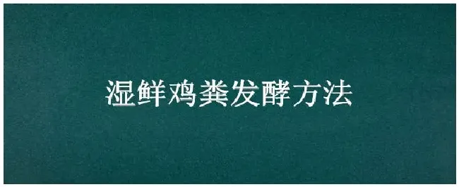 湿鲜鸡粪发酵方法 | 三农答疑