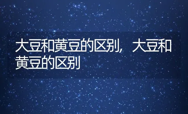 大豆和黄豆的区别,大豆和黄豆的区别 | 养殖常见问题