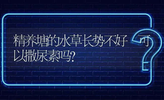 精养塘的水草长势不好　可以撒尿素吗? | 养殖问题解答