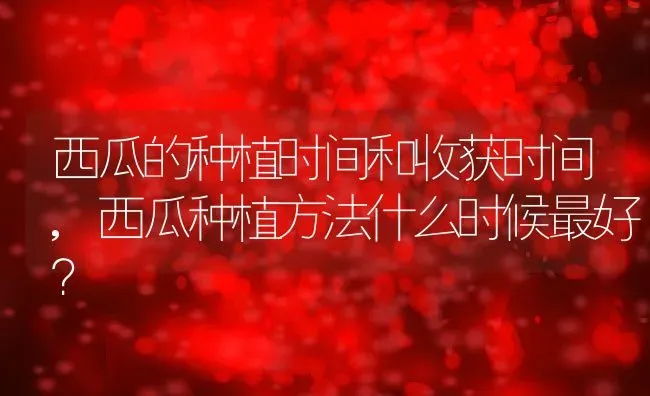 西瓜的种植时间和收获时间,西瓜种植方法什么时候最好？ | 养殖常见问题