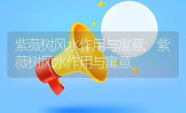 紫薇树风水作用与寓意,紫薇树风水作用与寓意 | 养殖常见问题