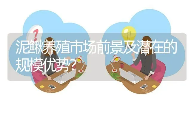 泥鳅养殖市场前景及潜在的规模优势? | 养殖问题解答