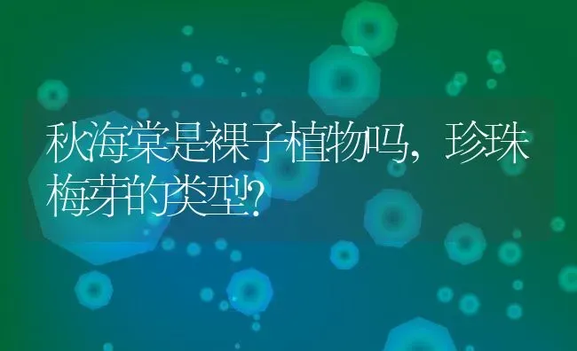 秋海棠是裸子植物吗,珍珠梅芽的类型？ | 养殖常见问题