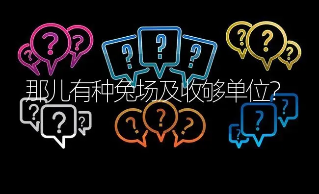 那儿有种兔场及收够单位? | 养殖问题解答