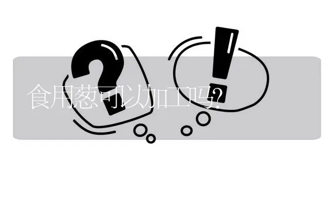 食用葱可以加工吗? | 养殖问题解答